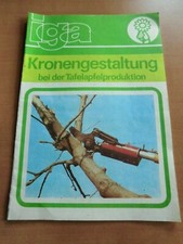 DDR iga Lehrheft Kronengestaltung Apfelproduktion Schneiden Binden Gerüst Ast 