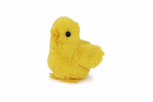 Küken - , (baby-huhn)
