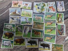 28  Zigarettenbilder Tiere  3