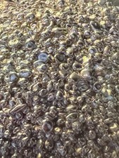 1000g  Silbergranulat 999,9 /