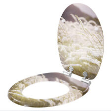 Toilettendeckel WC Sitz