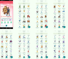 Pokémon acc lvl44 30 - acc,