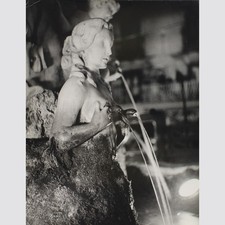 Karlheinz Bauer: Blumendame in