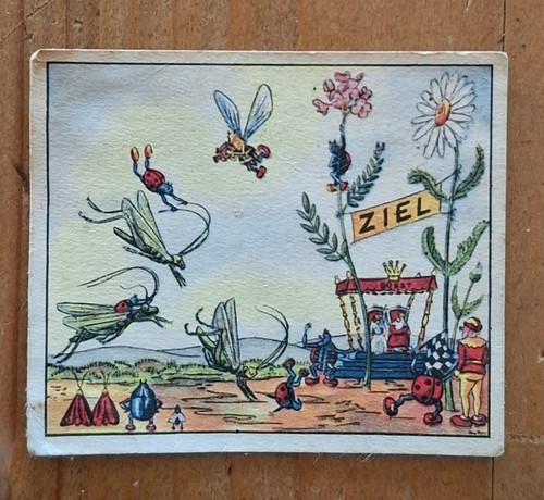 Sammelbild wurzelputz von - sammelbild,