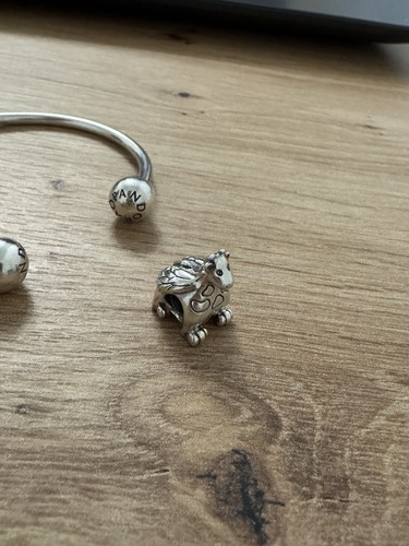 Pandora charm winniper wie neu - wie,