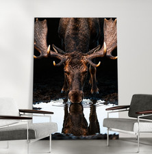 Elch trinkt Wasser-Elchgeweih