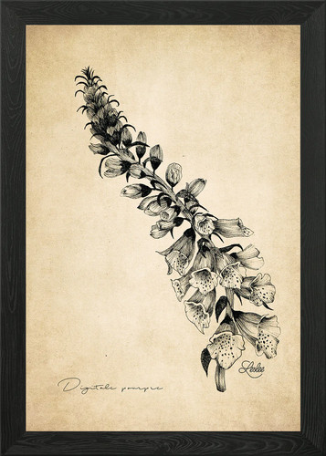 Lila digital herbarium - digital,