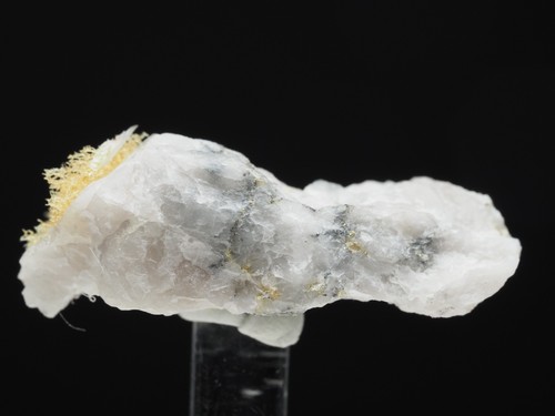 Gold ged - quarz,, giant