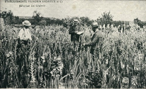 Verrières buisson - ak, verrières-le-buisson