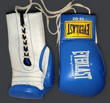 - Everlast Boxing Gloves