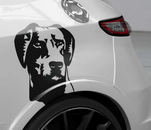 Auto aufkleber dobermann - aufkleber,
