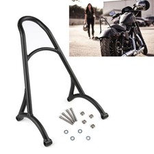 Beifahrer Sissy Bar Craftride