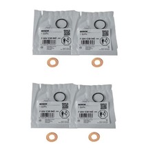 4x O-Ringe + Kupferdichtungen