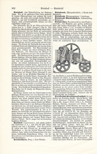 Bergbau tretwerke steinbrecher - tretwerke,