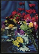 3D-AK Papagei & Blumenstrauß 