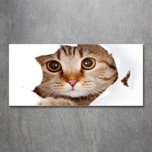 Wandbild aus plexiglas druck - wandbild, plexiglas®