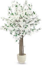 Kunstpflanzen Maia Shop