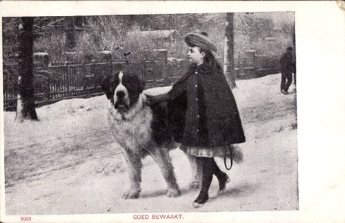 Mädchen mit hund - ak,