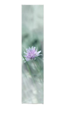 Flächenvorhang Schiebevorhang