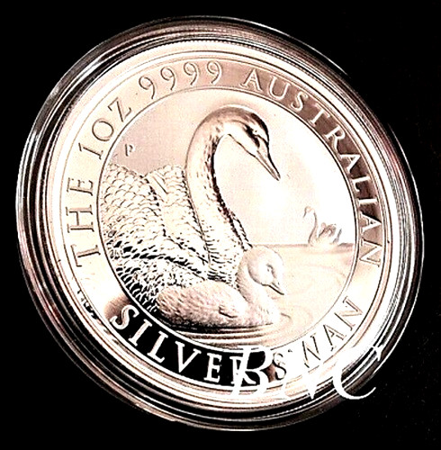 Australien silverswan 2019 1 - australien,