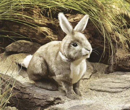 Folkmanis 2891 cottontail - folkmanis,