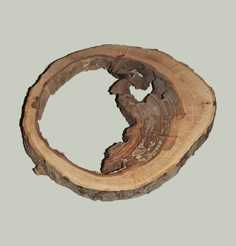 Hohle baumscheibe apfel - baumscheibe,,