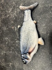 Katzenspielzeug elektrisch USB Fisch Hundespielzeug Katzenminze Forelle Karpfen