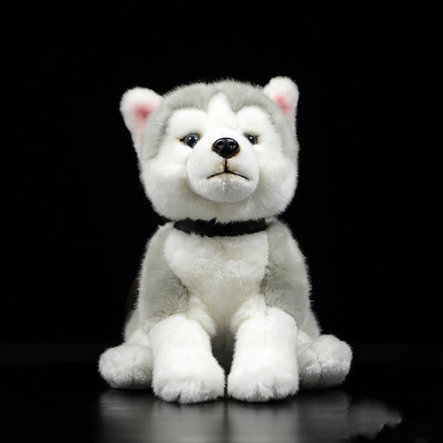 Husky kuscheltier - cm, –