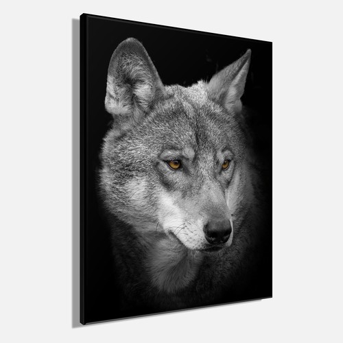Wandbild wolf 46x61 - 46x61, cm
