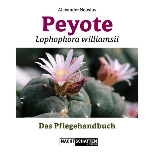 Peyote lophophora williamsii - peyote,