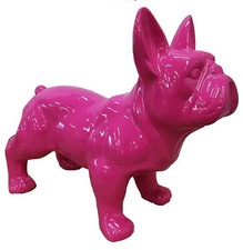 französische bulldogge