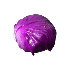 Simuliertes Gemüse für