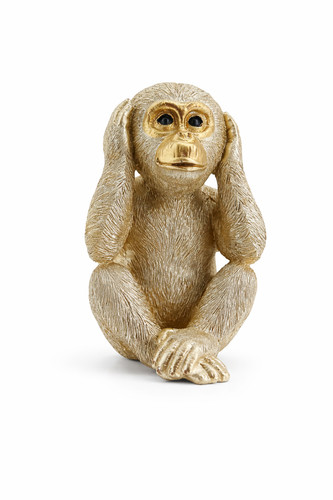 Affe schimpanse sitzend - schimpanse,