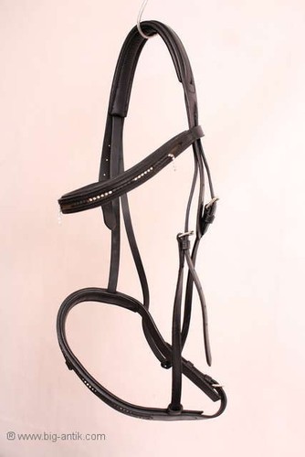Reitsport pferde trense - pferde,