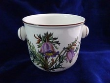 Villeroy & Boch BOTANICA, Pulsatilla vernalis, Küchenschelle, Übertopf, Eiseimer