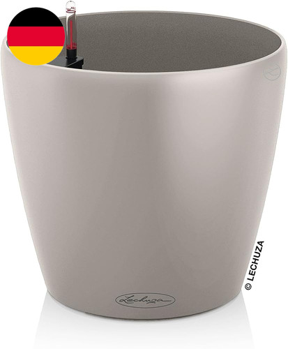 Lechuza classico color - lechuza,