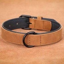 Großes Hundehalsband, weich