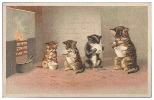 S8155 katzen schöne litho - s8155/,