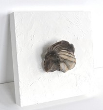 WANDBILD mit FEUERSTEIN