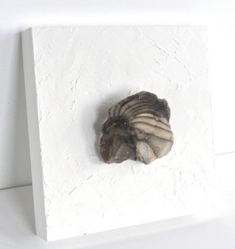 Wandbild mit feuerstein - wandbild,