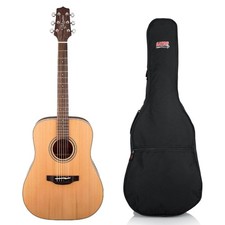 Takamine GD20 G20 Series