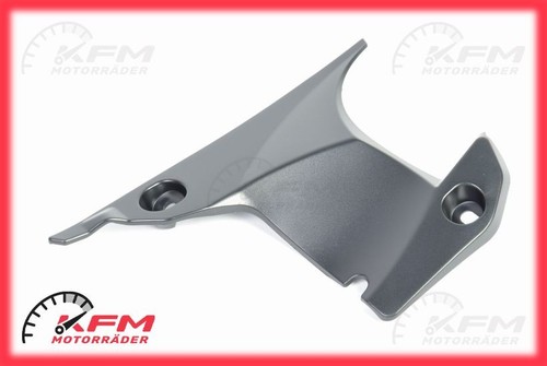 Yamaha yzf rn19 verkleidung - yzf-r1,