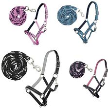 Halfter + Strick-Set