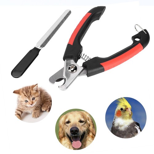 Large size curved - large, pet