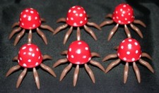 Quallen für Wassersäule -