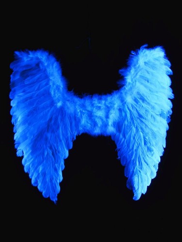 Schwarzlicht neon flügel - schwarzlicht,