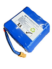 Balance Board Ersatz Akku 25V