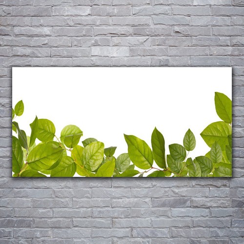 Acrylglasbilder wandbilder - acrylglasbilder,