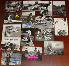 Diddl Postkarte Photocards