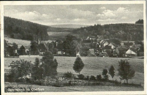 Buntenbock oberharz goslar - oberharz,